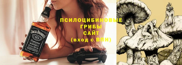 apvp Волоколамск
